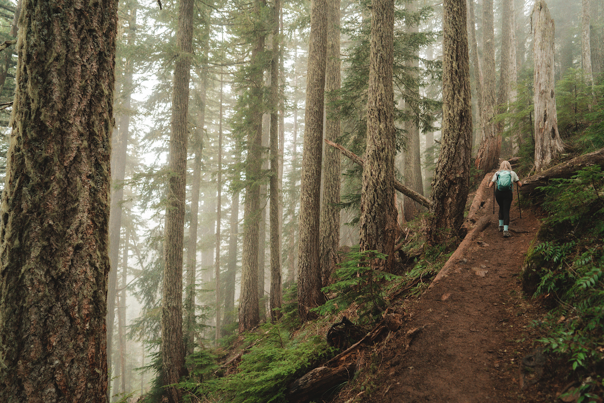 10 Things to Do In and Around Olympic National Park Meredith Copeland